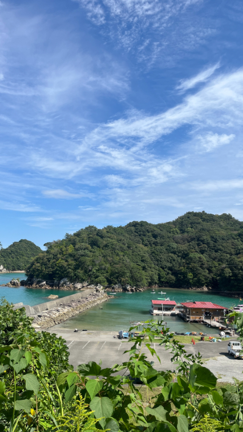 徳島の海中観光船で沖縄気分！ママインフルエンサーが厳選する竹ヶ島の子連れ島旅／徳島県海陽町