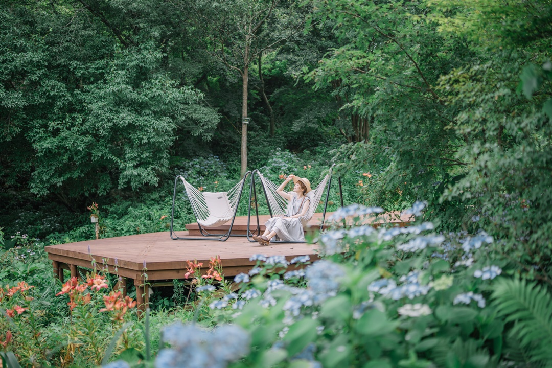 Rokko Musical Box Museum ＆ Gardens MORINONE: A Sensory Journey of Sight, Sound, and Touch 